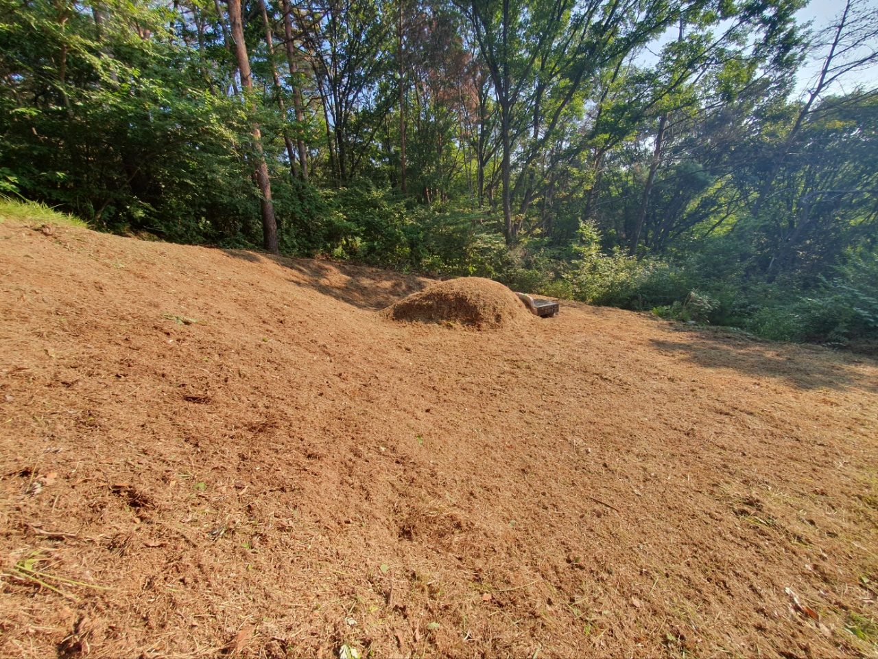 경북 경주시 벌초 대행 작업 완료 사진