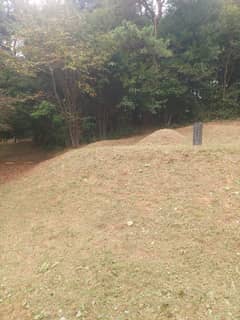 이화평 벌초 대행 작업 사진